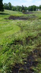 The southern edge of the burn area shows the patchiness of the burn with the mowed meadow trail meandering along the wet meadow.