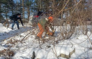 Chuck cutting down a larger sapling, with help from Jess clearing the brush.