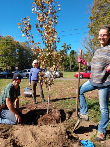 Volunteers Josh, Ann and Haley at their red maple before back-filling the soil.